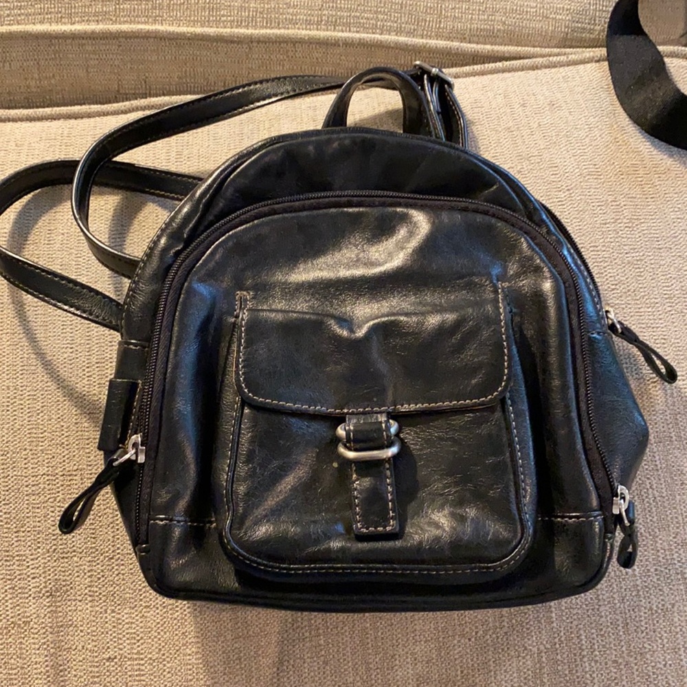 Mini Black. Lots of pockets and a card holder